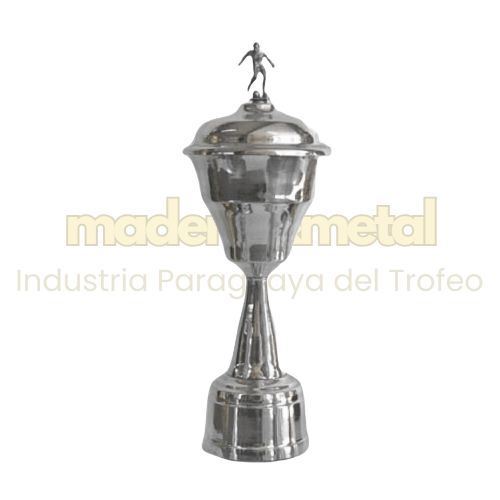 Imagen de Copa de metal con tapa - M5.240